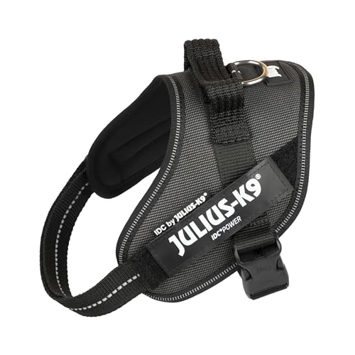 IDC Powergeschirr, S, Schwarz-Grau - Reflektierendes Hundegeschirr mit Logo-Feld, verstellbar, atmungsaktiv, Bewegungsfreiheit, Oeko-TEX Zertifiziert, für kleine, mittlere & große Hunde