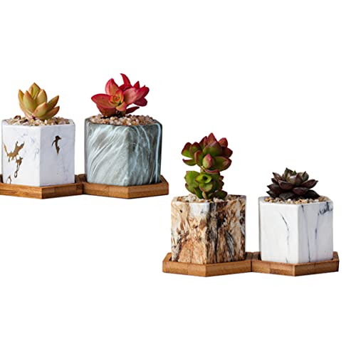Yardwe 8 Pcs Mini Cerâmica Suculenta Cactus de Porcelana Suculento de Flores Pequenas