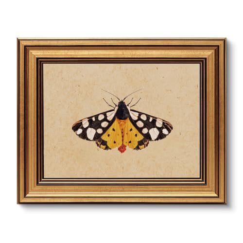 Image of VIYYIEA Vintage Gold Framed Wall Art for Living Room, Arctia Caja Canvas Prints Home Decor, Oil Painting Picture, Bedroom Wall Decor Gifts for Friends or Family -【Arctia Caja】-(10L x 8W)
