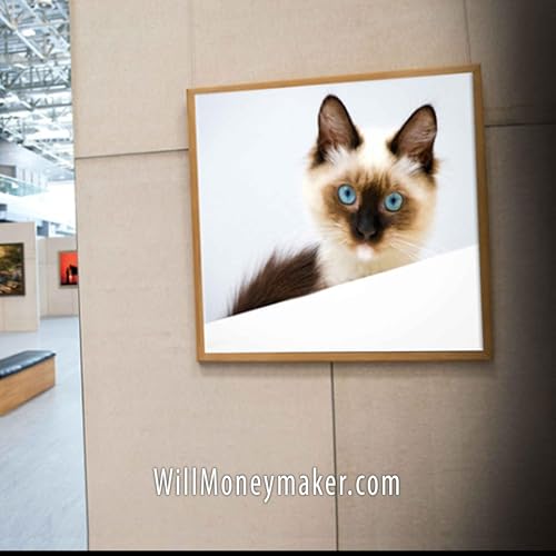 WM-541: How to Design a Professional Portfolio | Photography Clips Podcast Podcast Por  arte de portada