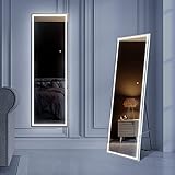 MIRPLUS 65 x 21 inch Full Length Mirror, Full Length Wall Mirror with LED Lights, Wall Mounted Full