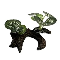 GYWHOOFT Künstliche Aquarienpflanzen, Pets Aquarium-Dekoration,Aquarium-Ornamente,Reptilienpflanze,Kletterpflanze, künstliche Reptilienpflanze, Aquariumsschrauben Pflanzen, Ornamente, Zubehör