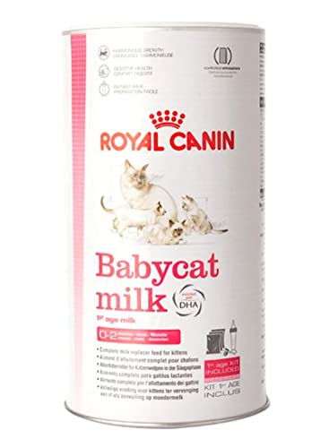 Top 10 Milk For Baby Cats of 2022 - Katynel