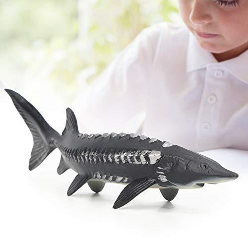Stör Fisch Modell Ozean Tier Figur Spielzeug, Home Decor, Markt Display Kunststoff für Home Decor (M-1528 Chinesischer Stör)