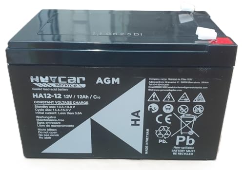 Bateria Recargable 12V Y 12AH   Compatible Coches electricos niños de 12V