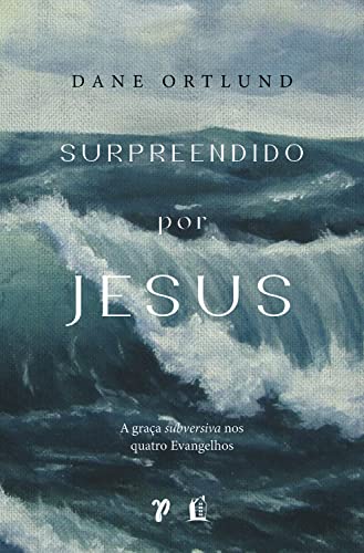 Surpreendido por Jesus: A graça subversiva nos quatro evangelhos