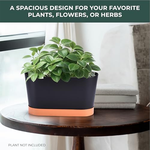 Jardinera para ventana para falta de espacio maceta alargada plantas interior 3