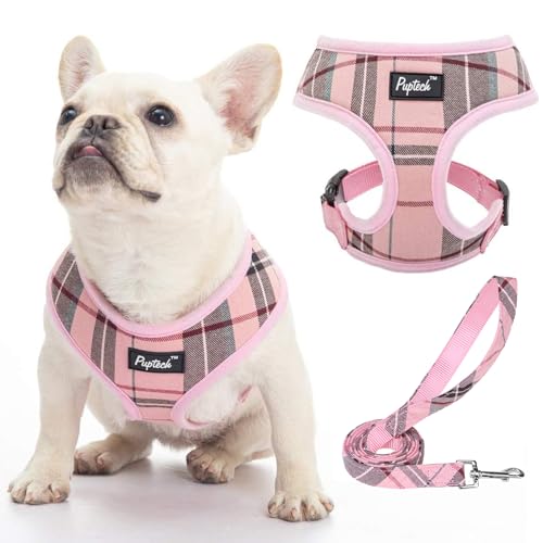 PUPTECK Soft Mesh Dog Harness and Leash Set Pet Puppy Cat Comfort Padded Vest No Pull Harnesses, Light Pink, S