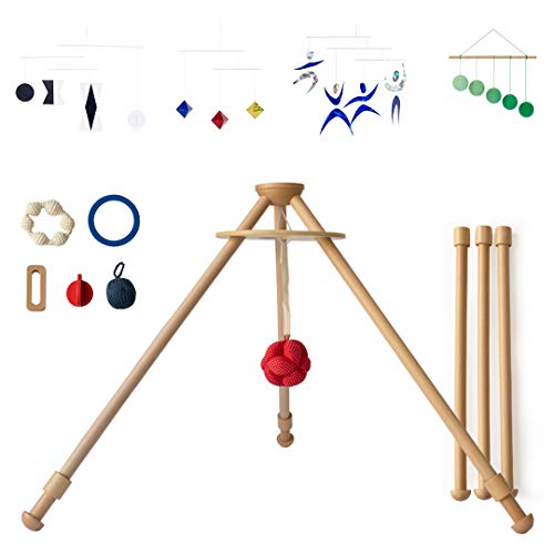 The Activity Gym by Monti Kids: Level 1 Includes Wooden Baby Gym/Baby Activity Center with Montessori Mobiles, Toys & Rattles; Parent Education and Support from Montessori Educators. Safety Certified.