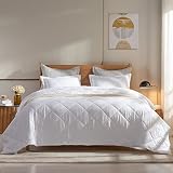 Dorrin Nessin Summer Lightweight Down Alternative Comforter Blanket 90x90 Full/Queen Size, Ultra Sof