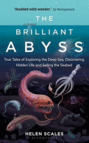 The Brilliant Abyss view 2