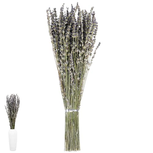Ramo de lavanda seca para decoración natural miniatura 1