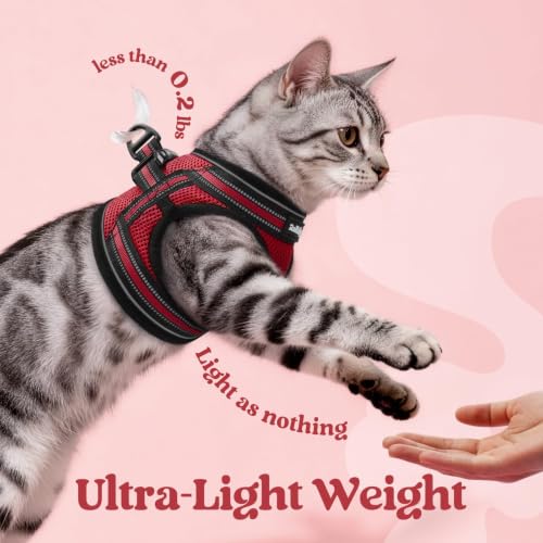 Image of rabbitgoo Cat Harness and Leash Set, Step-in Soft Vest, Red | Escape Proof, Lightweight, Easy-on & Adjustable, Hook & Loop with Buckle, Reflective, for Small Cats Walks, L