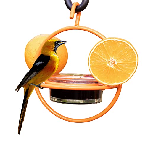 Monarch Abode Hanging Bird Feeder for Outdoors Hanging Oriole Birdfeeder with Clear Glass Bowl and Orange Metal Perch & Prongs Decorative Wild Bird Feeder for Outside Garden Patio Deck Yard