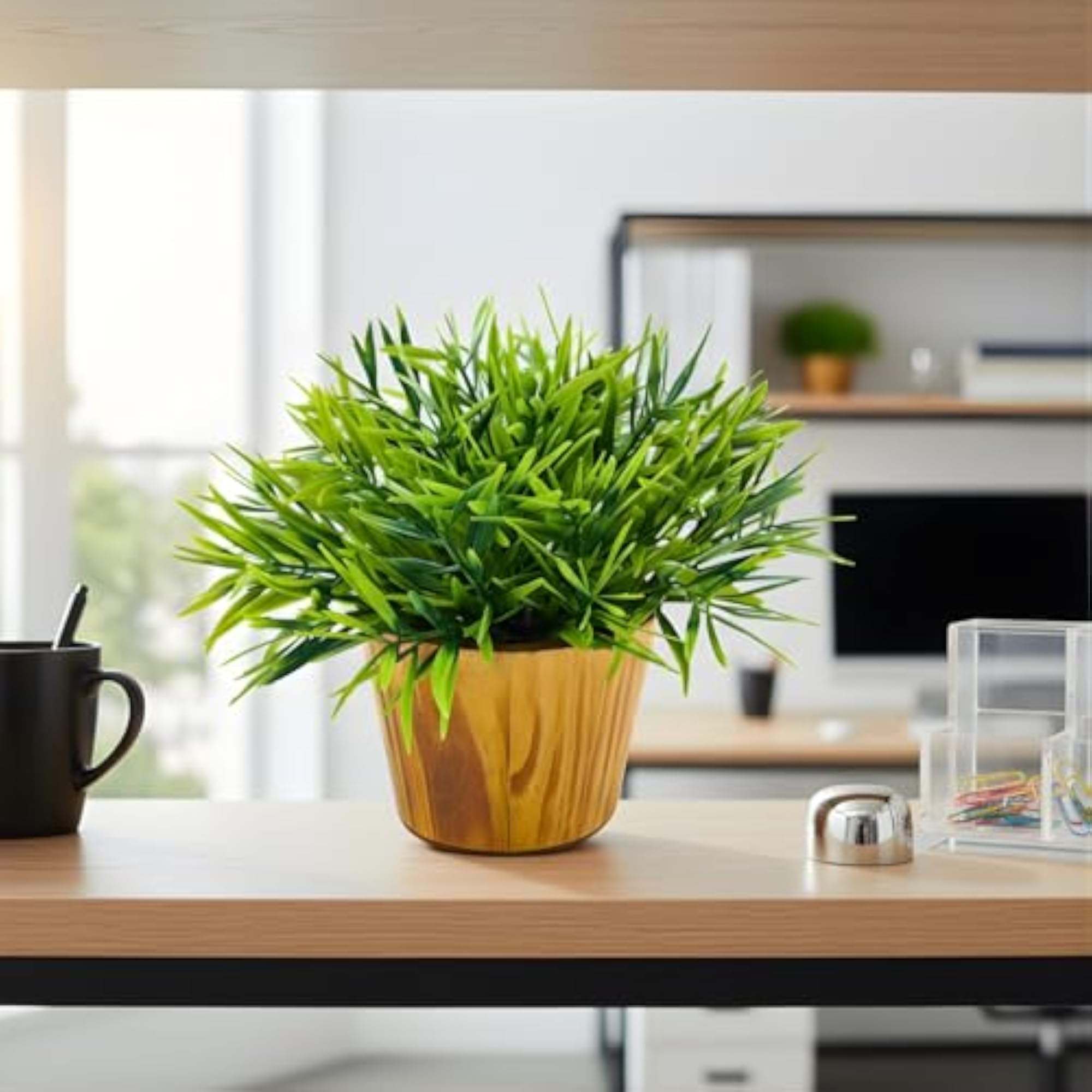 Mini Bamboo Plant in Wooden Pot for Home Decoration