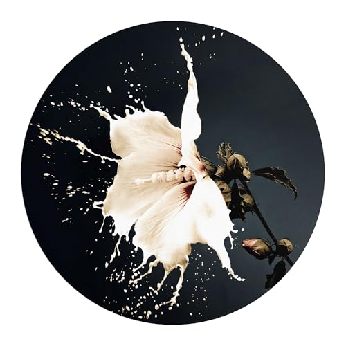 DEQORI Carta da parati rotonda autoadesiva Ø 80 cm | motivo fiore latteo | tela tessile – staccabile, decorativa e indeformabile – per soggiorno, ufficio, corridoio o cameretta dei bambini