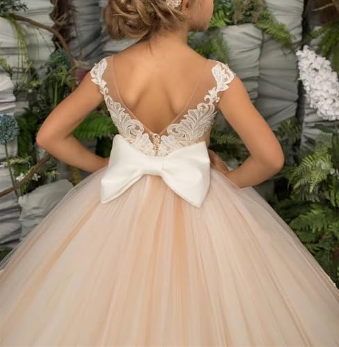 Flower Girl Dresses for Wedding Lace Princess Pageant Dresses Birthday Party Ball Gown Backless First Communion Dress4