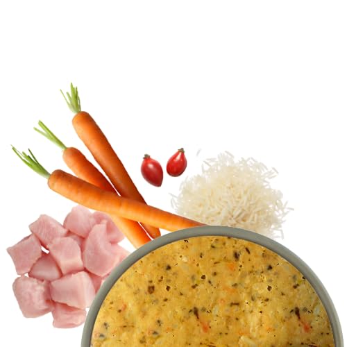 Bosch Freshe Schnauze, Huhn mit Reis und Karotten 8 x 250 g, Schonend Dampfgegartes Nassfutter für Hunde, Vollwertiges Alleinfuttermittel mit hohem Fleischgehalt, 8 x 250 g Hundenassfutter