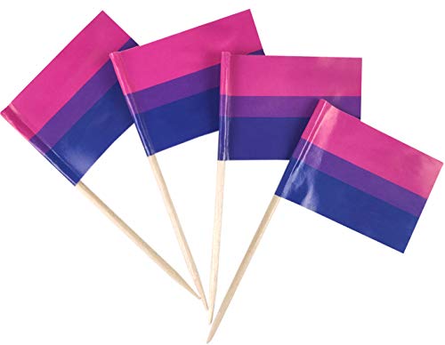 JBCD Bandera de palillo de dientes arcoíris (Bi)