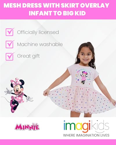 Disney Minnie Mouse Mickey Mouse Rainbow Tulle Dress Toddler to Big Kid2