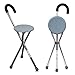 Mobiclinic, Bastone con sedile pieghevole, Gloria, Bastone 3 piedi per anziani, Tripode per anziani, Bastone da passeggio, Sedia portatile, Alluminio, Fino a 90 kg, Impugnatura ergonomica, Grigio