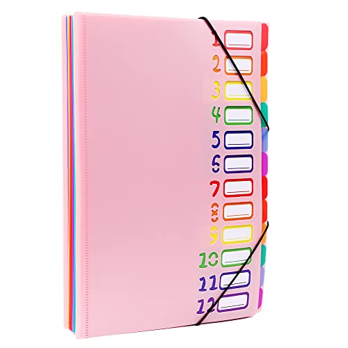 Edufun Organizador de arquivos expansível com 24 bolsos, pasta acordeão (rosa)