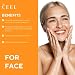 The Ceel 20% Vitamin C Brightening Anti-Aging Serum for Face with Ascorbic, Ferulic Acid & Vitamin B5 - Paraben & Perfume Free Skin Care Formula for Hydration, Wrinkles, Dark Spots, & Radiance - 30ml