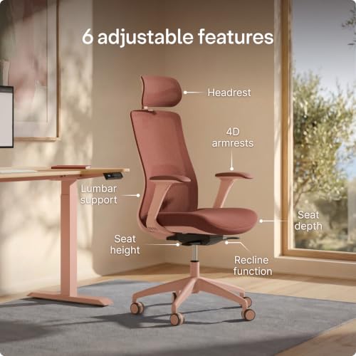 professional ergonomic chair customer opinions product image