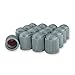 Pack of 12 Gray Valve Stem Caps with Inner Seals for All Schrader Type Valve Stems on Automotive, Truck, Trailer, Bicycle and Other Applications by TYK Industries