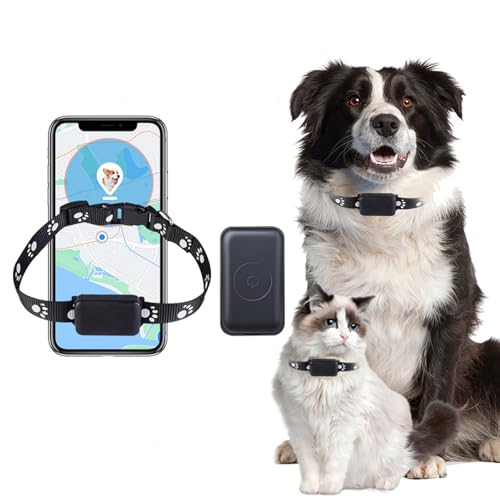 Collare GPS Gatto Tracker – Tracker GPS Localizzate facilmente il vostro gatto o cane con WiFi | senza abbonamento mensile | Compatibile con iOS e Android. (Nero)