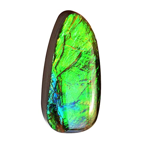 Pendentif ammolite verte et bleue pour augmenter la sstamine 32mm
