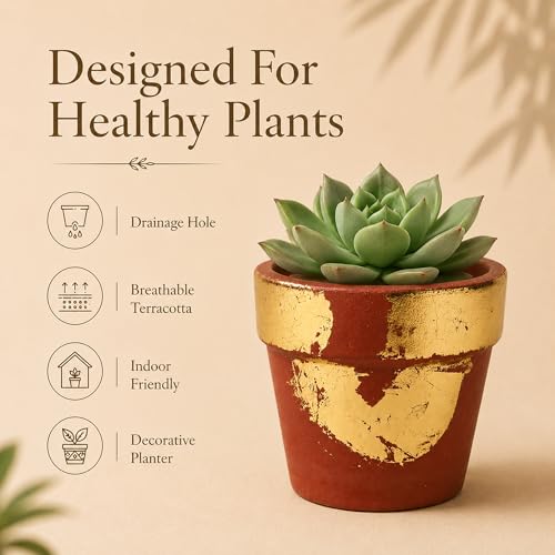 Image of Habere India-All the Cultures Fabricating India Hand Painted Terracotta Planter | Red & Golden Indoor Plant Pot | Breathable Clay Pot with Drainage Hole (Golden: L12.5 x W12.5 x H11 cm)