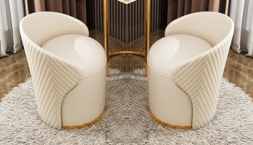 T&T Co Light Luxury 360 Degree Rotating Makeup Bench Bedroom Dressing Table With Backrest Round Stool Storage - Makeup Chair Leisure Ottoman Vanity (Design 4, Set of 2)