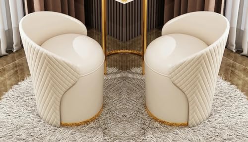 T&T Co Light Luxury 360 Degree Rotating Makeup Bench Bedroom Dressing Table With Backrest Round Stool Storage - Makeup Chair Leisure Ottoman Vanity (Design 4, Set of 2)