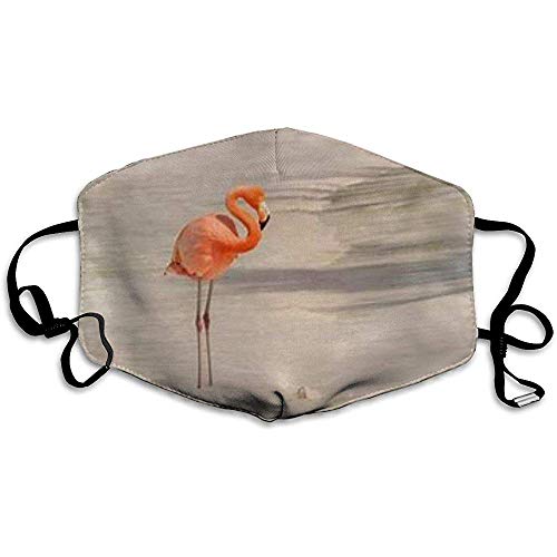 Preisvergleich Produktbild Mundmasken Flamingo Muster Unisex Anti-Staub waschbar Wiederverwendbare Mundmaske Modedesign für Mädchen Frauen Jungen Männer