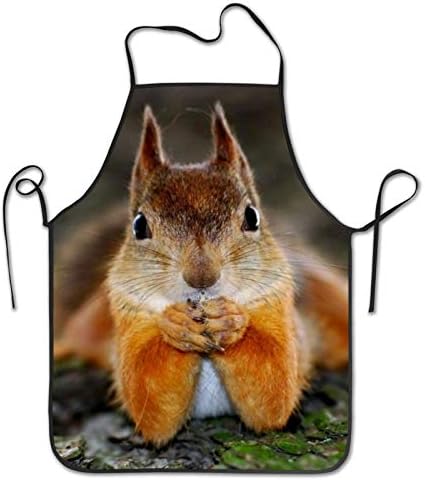 INTFULIHU Squirrel Apron Animal Unisex Bib for Kitchen Crafting Drawing Cooking Outdoors BBQ Grill Baking