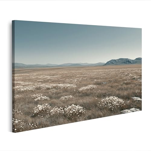 Paysage Tundra sur toile : décoration murale éclatante