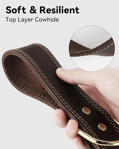Joytale Hundehalsband Leder, Halsband aus Leder für Große Hunde, Weiches Echtleder Hundehalsband Langlebig und Verstellbar, Braun, XL