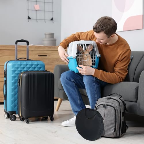 Relaxdays Katzentunnel, Faltbare Katzenröhre, HBT: 25 x 92 x 92 cm, Spieltunnel, Katzenzubehör, mit 4 Wegen, Nylon, bunt