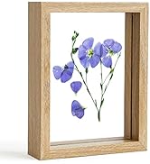 Amazon.co.jp: 写真立て 2L判 フォトフレーム ガラス製 アンティーク