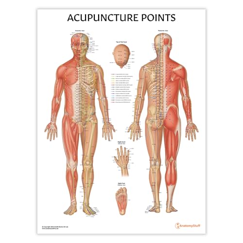 Anatomy Stuff Gráfico de puntos de acupuntura, póster de 45 x 60 cm, diagrama de acupuntura, visualización de clínica de medicina china, terapia con agujas