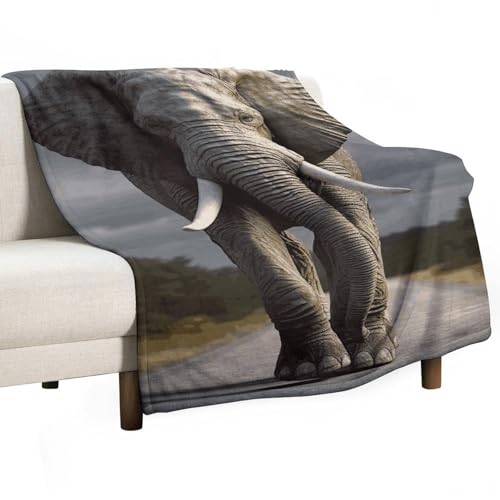 Couverture éléphant anti-froid en flanelle douce et légère pour lit - 2