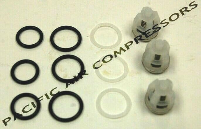33060 Replacement for BE CAT PUMPS VALVE KIT FOR 5CP3120 / 5CP5120