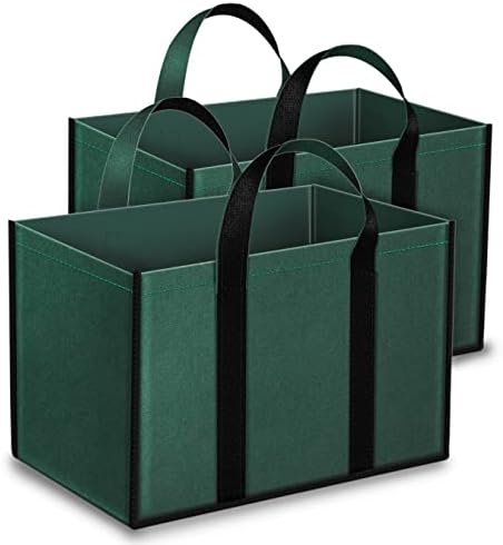 Double R Bags Eco-Friendly Jute Grocery Bags - Pack Of 2, Reinforced Handles, Laminated Interior (Green)