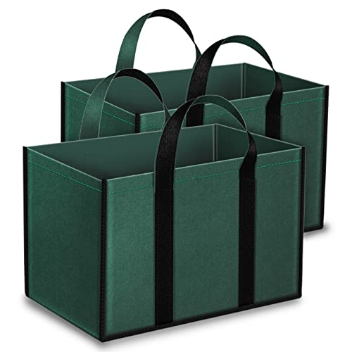 Image of DAHSHA Pack of 2 Heavy Duty Canvas Grocery Bags (Green,41x24x27cm)