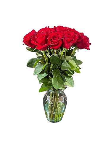 Boyacá Flowers Boyaca Flowers, 24 Stem Red Rose With Vase, Farm Fresh, Long Stem 50Cm cover