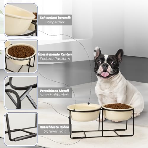 Hundenapf Set Erhöht Hundenäpfe Keramik - Fressnapf Hund 2er Set mit Rutschfestem Metallständer - Doppelnapf Hund für Futter und Wasser - Ideal für Kleine und Mittelgroße Hunde - 2 x 800 ml - Beige