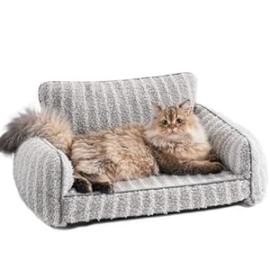 MEWOOFUN Stylish Cat Sofa Cat Beds for Indoor Cats – Orthopedic Small Dog Sofa Bed Dog Couch with Anti-slip Bottom for Small and Medium Dogs (Grey, M)