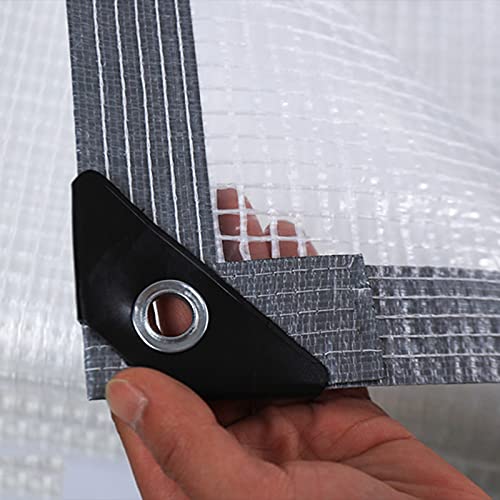 Lona impermeable transparente solución heladas plantas exterior 3