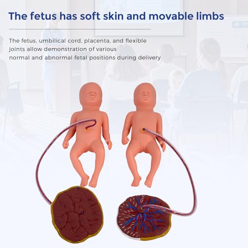 Image of Childbirth Simulator Twin Birth Skills Training Mode, Advanced Midwifery Training Model with 2 Fetal Model & 2 Umbilical Cord & 2 Placenta for Practicing Midwifery and Delivery Skills